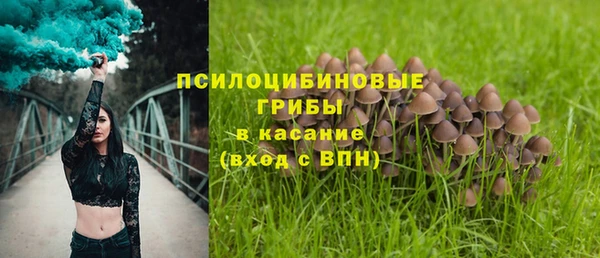 ешки Алексеевка
