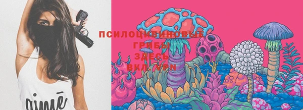 меф Переславль-Залесский