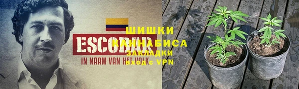 Альфа ПВП Алзамай